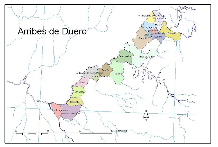 MAPEO GEOLÓGICO Y ZONIFICACIÓN DE LAS DIFERENTES PARCELAS DE VIÑEDO